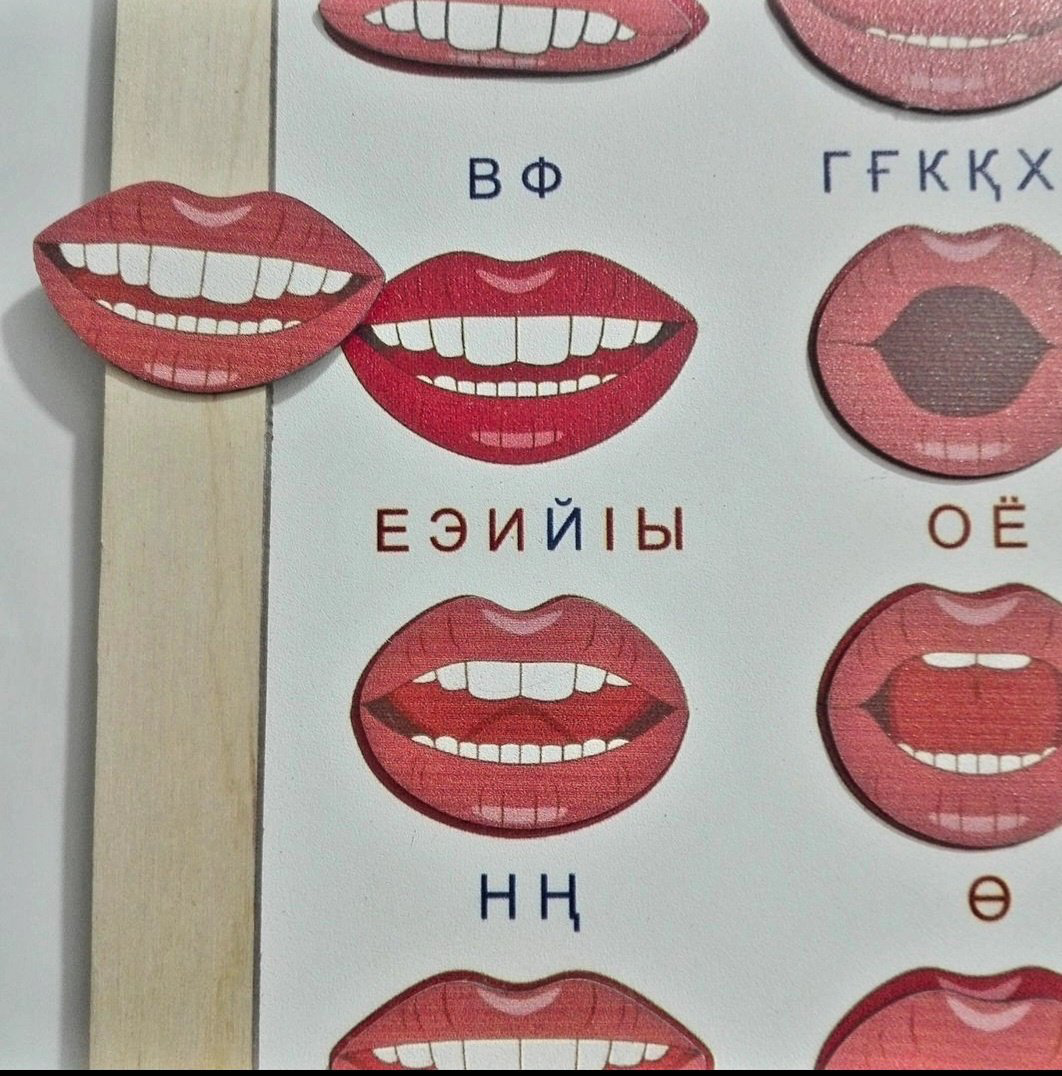Обучающий набор Доброе дерево Артикуляция купить,NaN