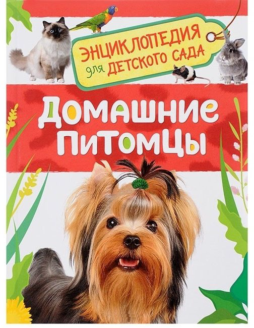 Книга Энциклопедия для детского сада Домашние питомцы купить,NaN