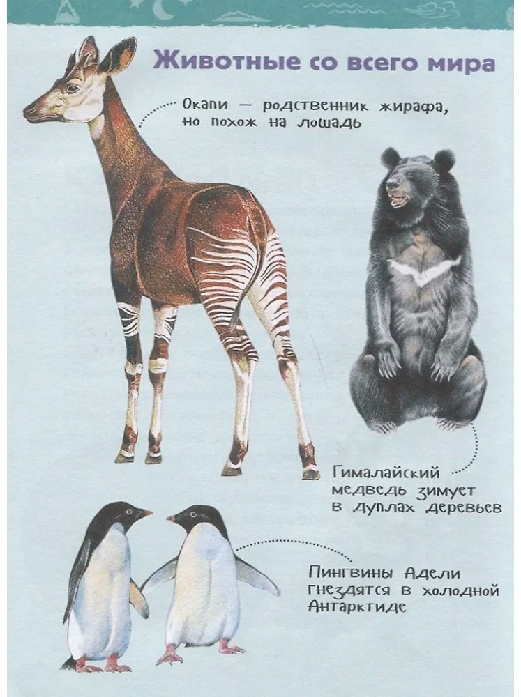 Книга Энциклопедия для детского сада Планета Земля купить,NaN