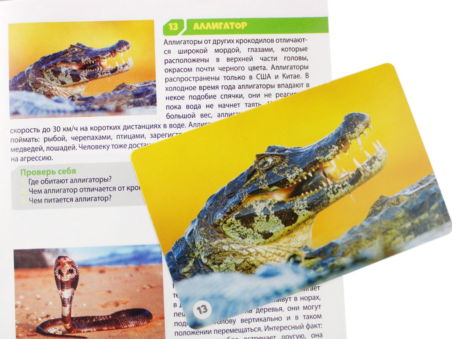 Настольная игра Мемо. Обитатели земли 17507490_101912 купить,NaN