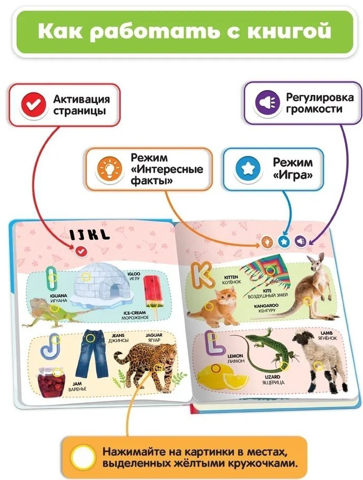 Книжка-игрушка BertToys Нажималка Английский алфавит купить,NaN