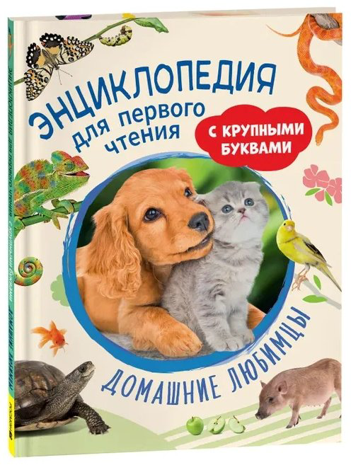 Книга Книга Домашние любимцы.Энциклопедия для первого чтения с крупными буквами (41814) купить,NaN