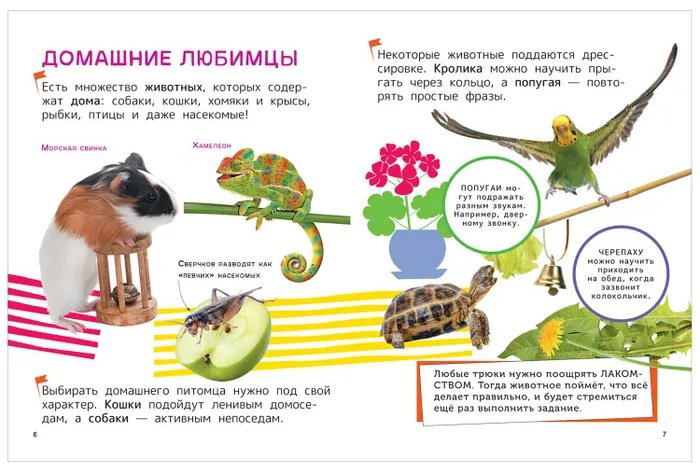 Книга Книга Домашние любимцы.Энциклопедия для первого чтения с крупными буквами (41814) купить,NaN