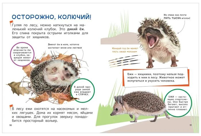 Книга Книга Домашние любимцы.Энциклопедия для первого чтения с крупными буквами (41814) купить,NaN