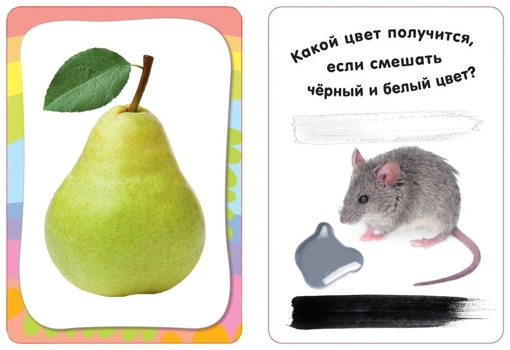 Книга Изучаем цвета. Развивающие карточки 3+ купить,NaN