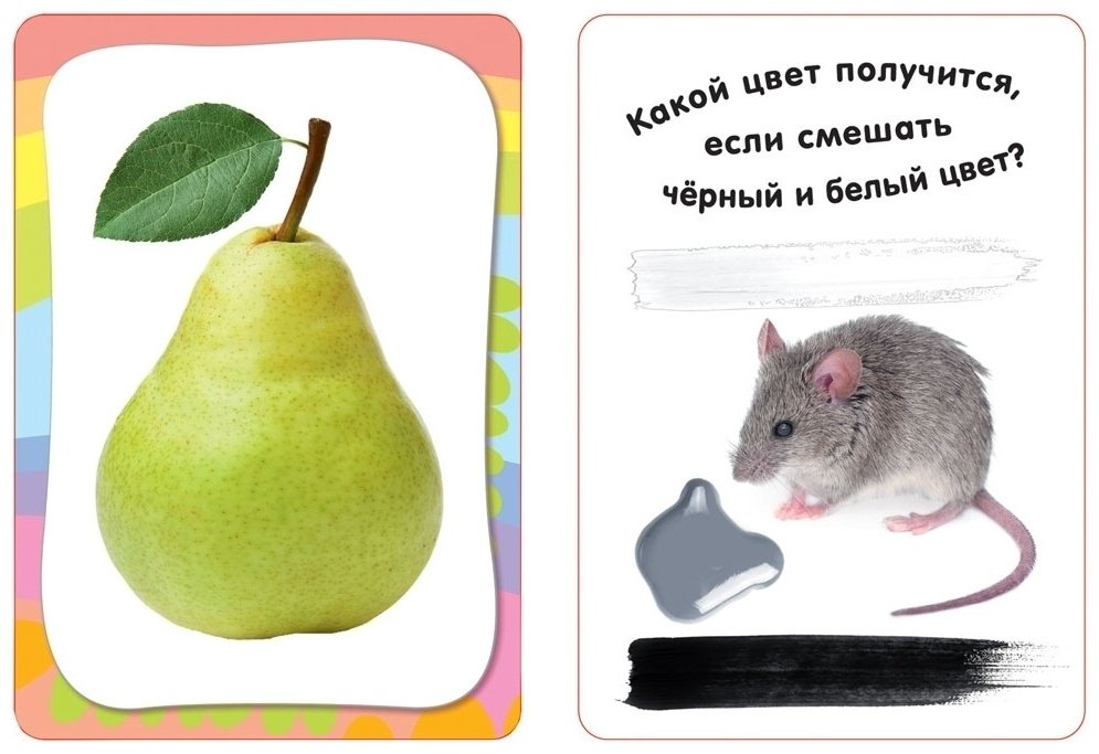 Книга Изучаем цвета. Развивающие карточки 3+ купить,NaN
