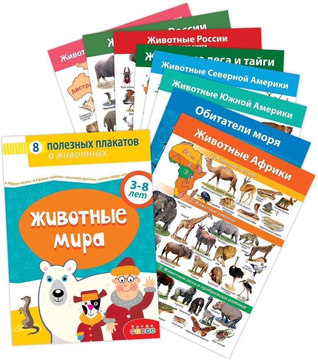 Книга Комплект плакатов. Животные мира 4020 купить,NaN