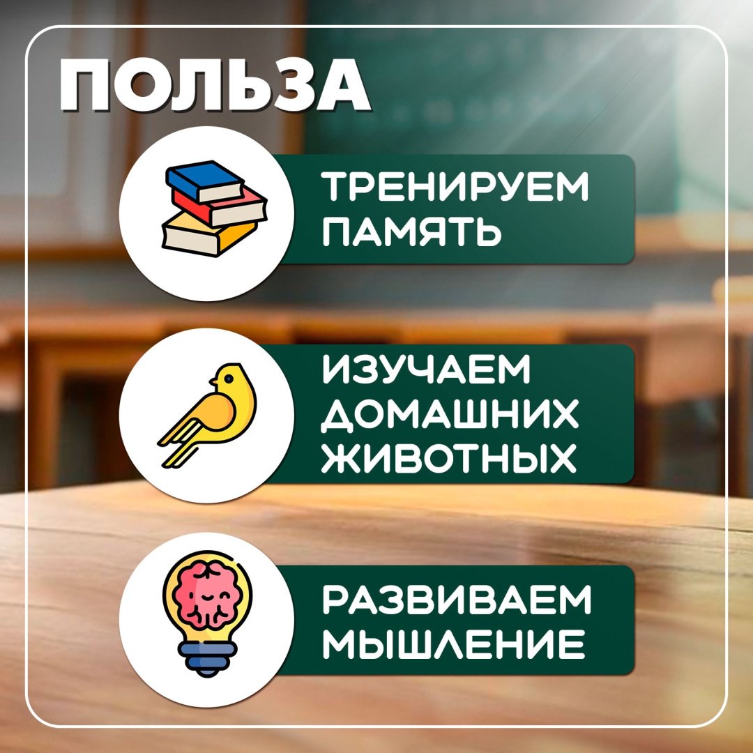 Обучающий набор IQ-ZABIAKA Умникуб Домашние животные купить,0