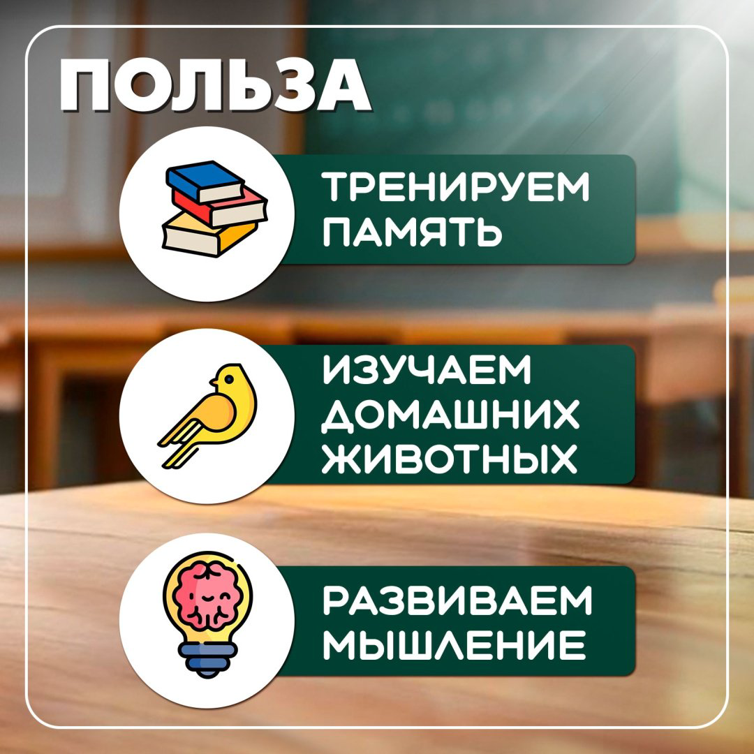 Обучающий набор IQ-ZABIAKA Умникуб Домашние животные купить,2200