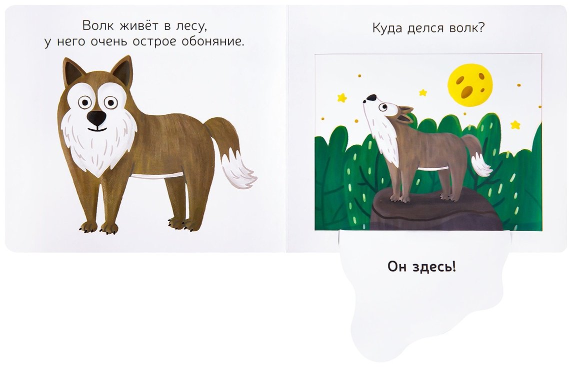 Книга Кузьмук О.: Лесные сорванцы - ForteMarket Книга Кузьмук О.: Лесные сорванцы купить,0