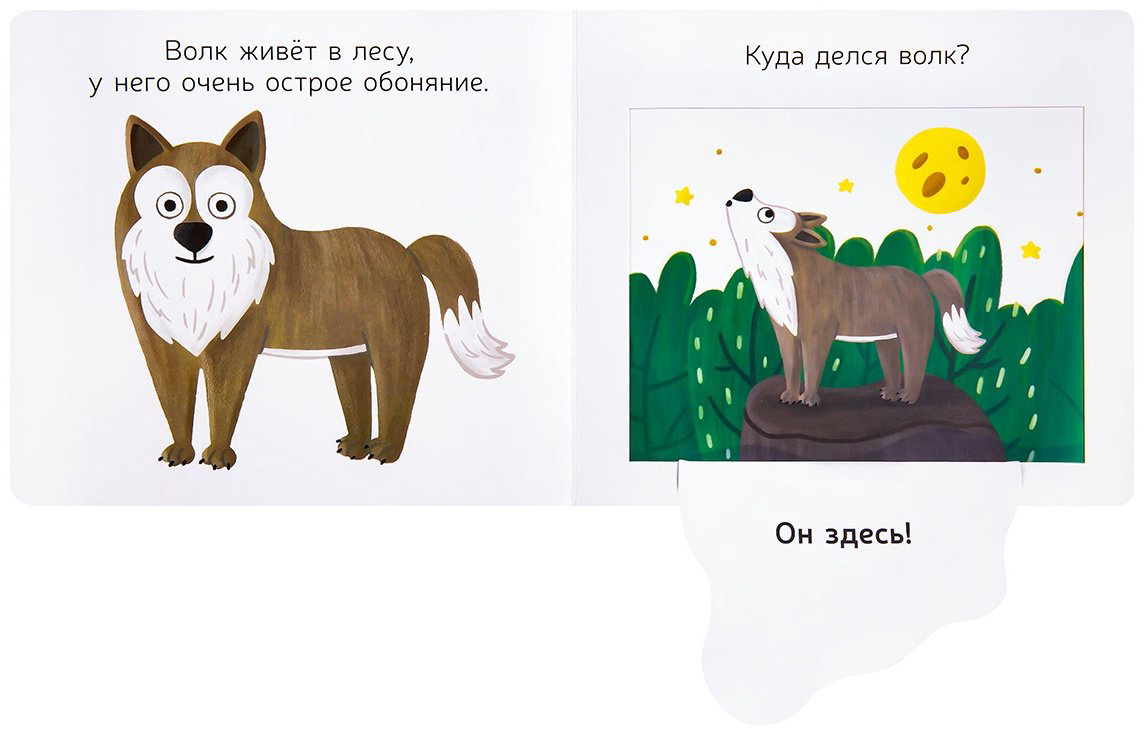 Книга Кузьмук О.: Лесные сорванцы купить,NaN
