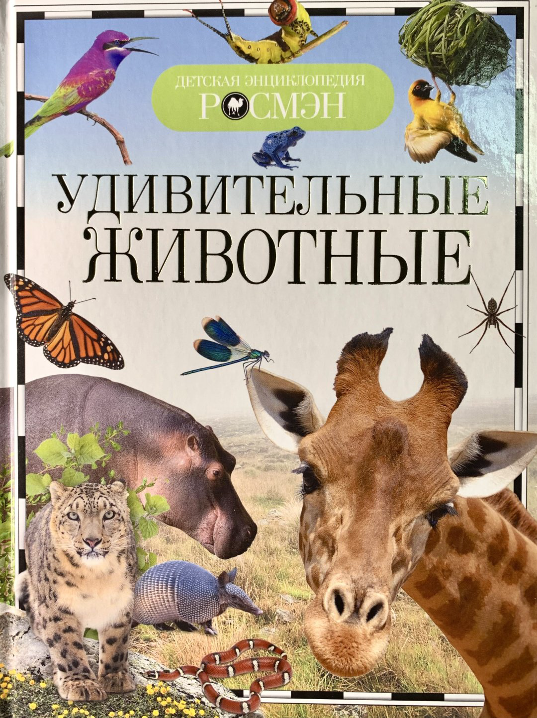 Книга Росмэн: Детская энциклопедия. Удивительные животные купить,NaN