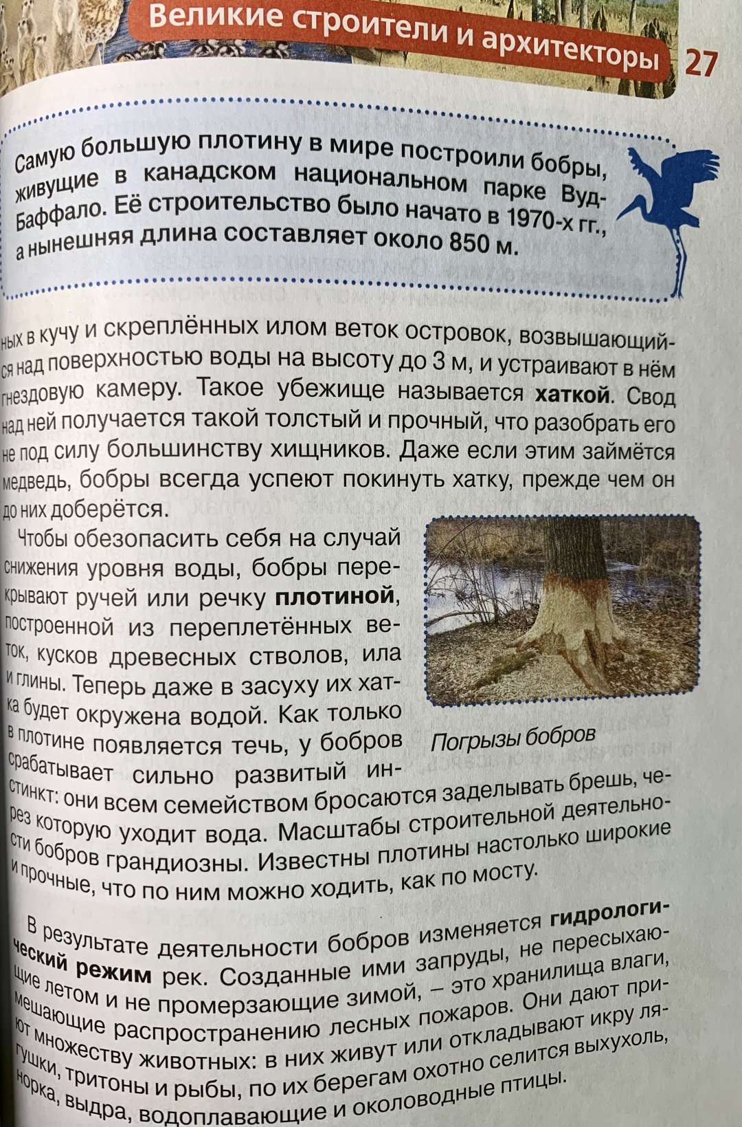 Книга Росмэн: Детская энциклопедия. Удивительные животные купить,NaN