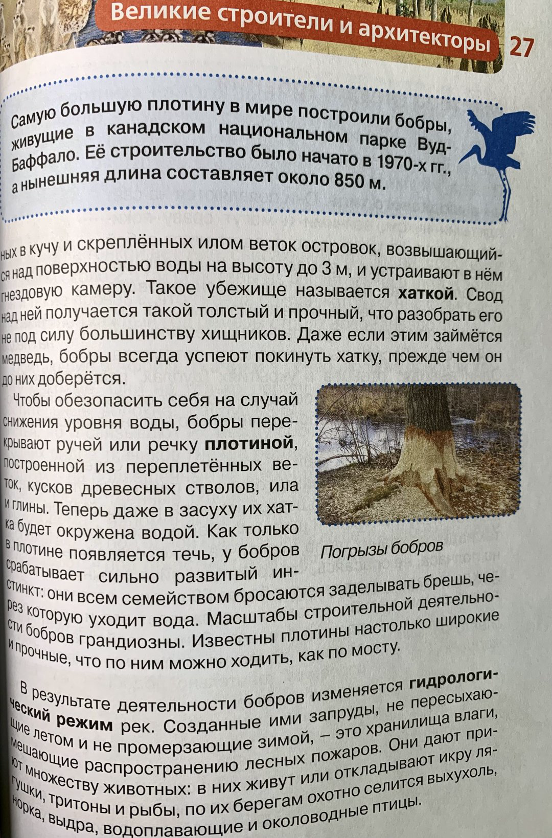 Книга Росмэн: Детская энциклопедия. Удивительные животные купить,NaN