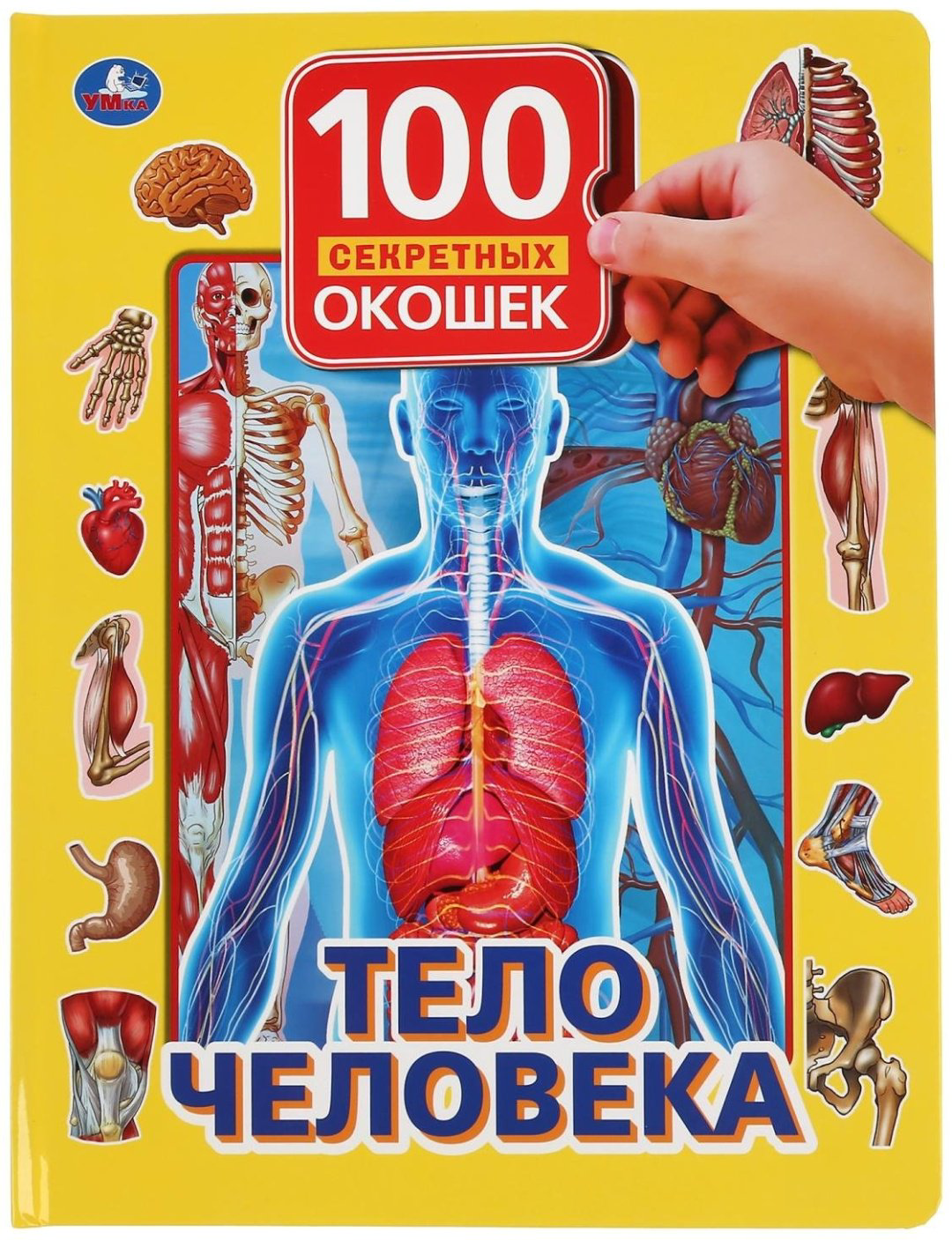 Книга 100 секретных окошек Тело человека купить,NaN