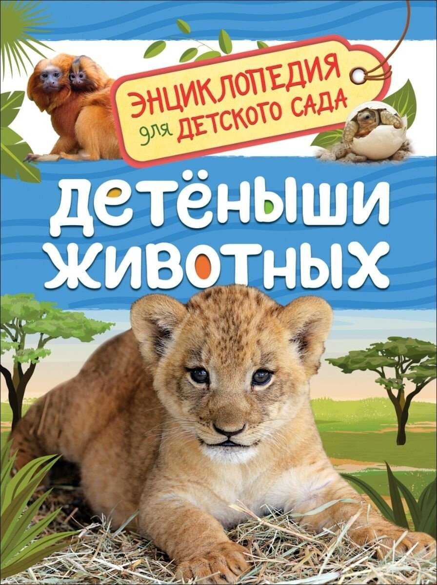 Книга Клюшник Л. В.: Детеныши животных купить,NaN
