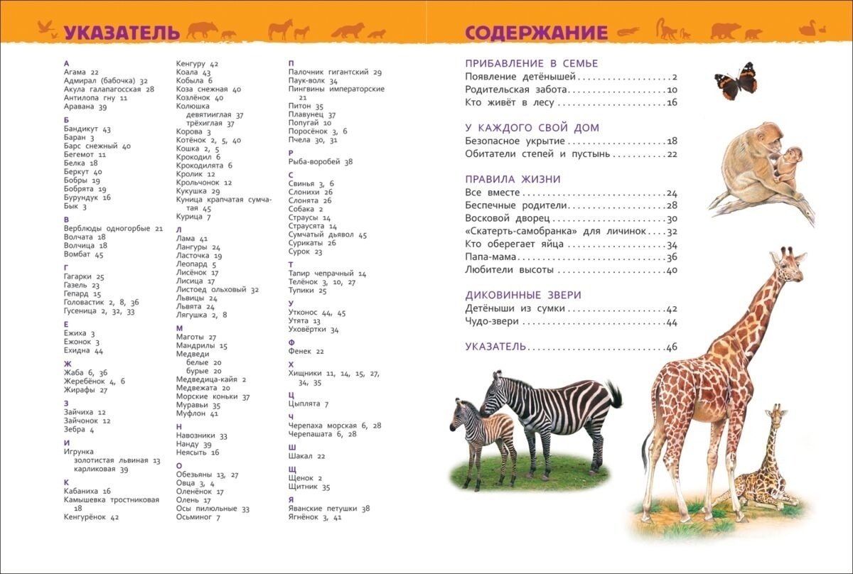 Книга Клюшник Л. В.: Детеныши животных купить,NaN