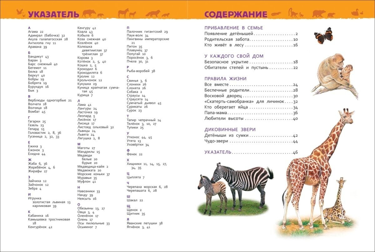 Книга Клюшник Л. В.: Детеныши животных купить,NaN