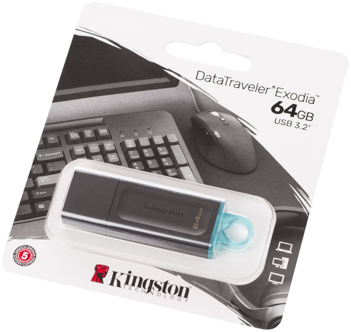 Kingston DTX/64GB 64 Гб купить,0