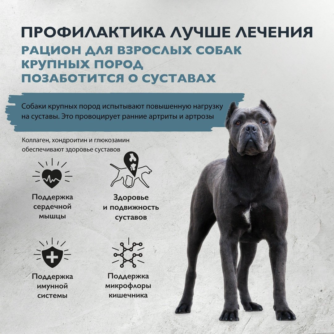 Корм Brit Care Adult Large Индейка и утка для взрослых крупных пород 12 кг купить,NaN