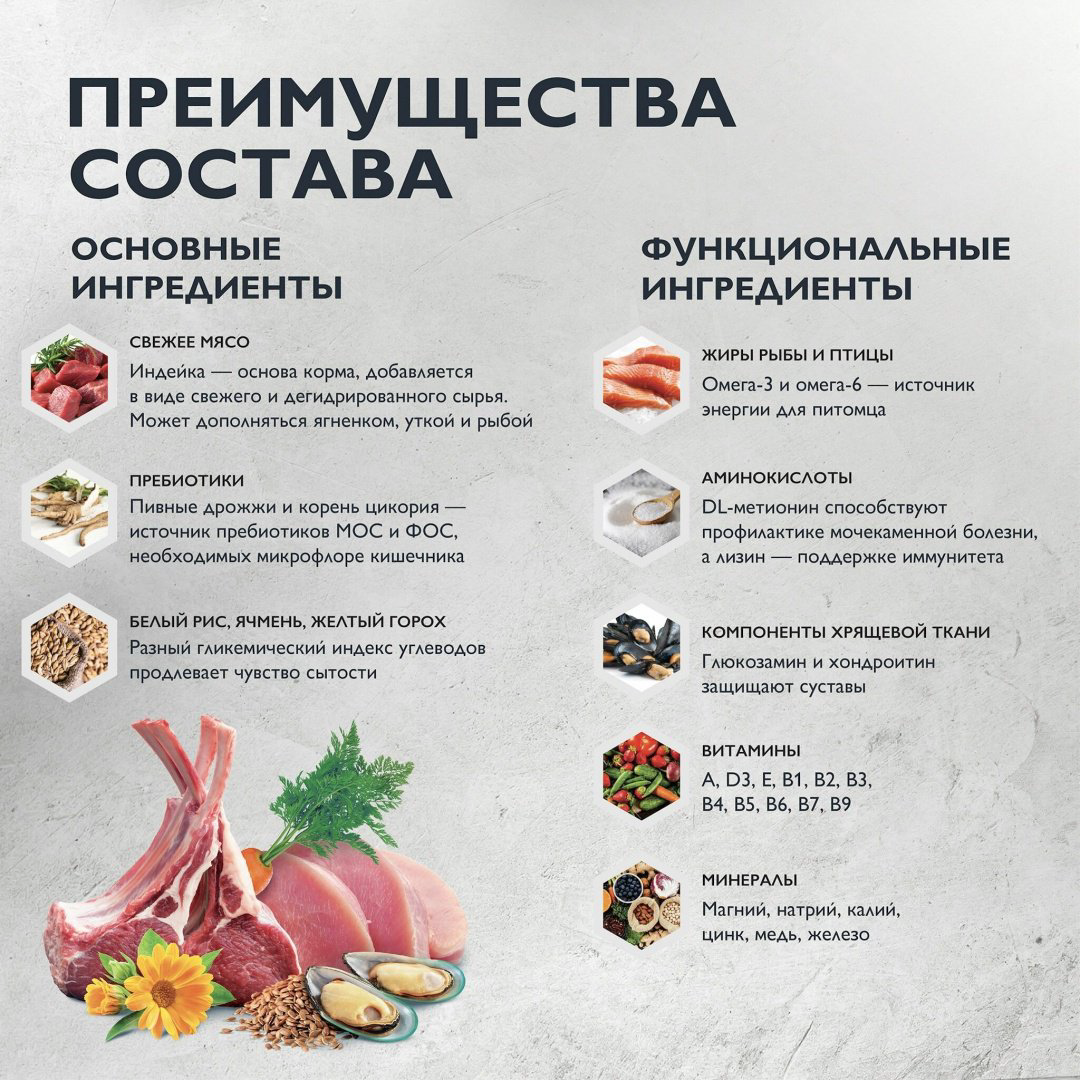 Корм Brit Care Adult Large Индейка и утка для взрослых крупных пород 12 кг купить,NaN