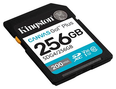 Карта памяти Kingston Secure Digital XC SDG4/256GB 256 Гб - ForteMarket Карта памяти Kingston Secure Digital XC SDG4/256GB 256 Гб купить,0