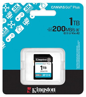 Карта памяти Kingston Secure Digital XC SDG4/1TB 1024 Гб купить,0