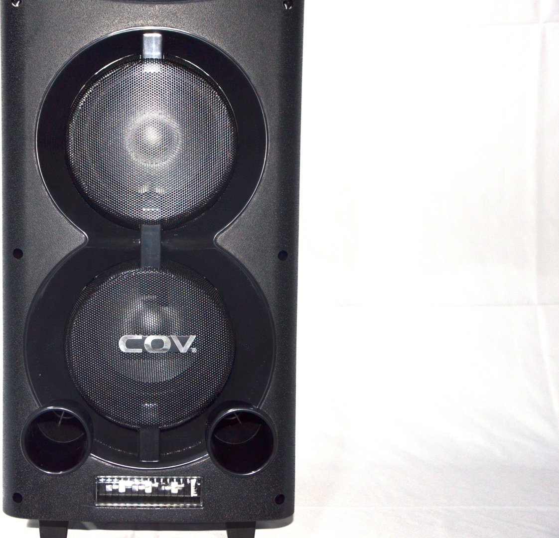 Портативная колонка COV CV-625 черный купить,0