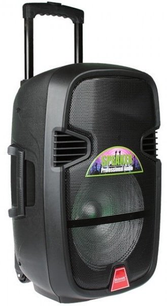 Акустическая система MEIRENDE K11-12СР черный