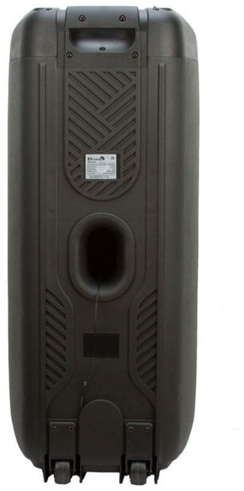 Портативная колонка Eltronic 20-62 черный купить,NaN