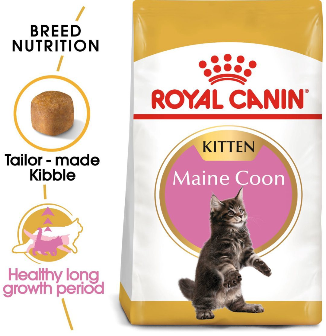 Корм Royal Canin Kitten Maine Coon для котят породы Мейн-Кун курица 10 кг купить,NaN