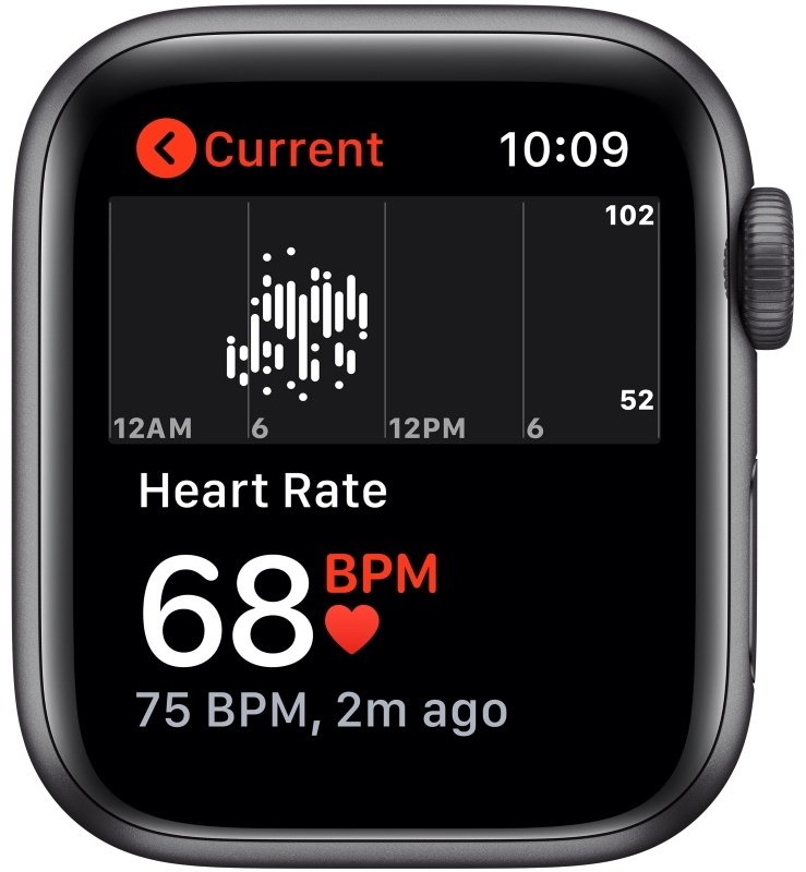 Смарт-часы Apple Watch SE 44 мм черный купить,0