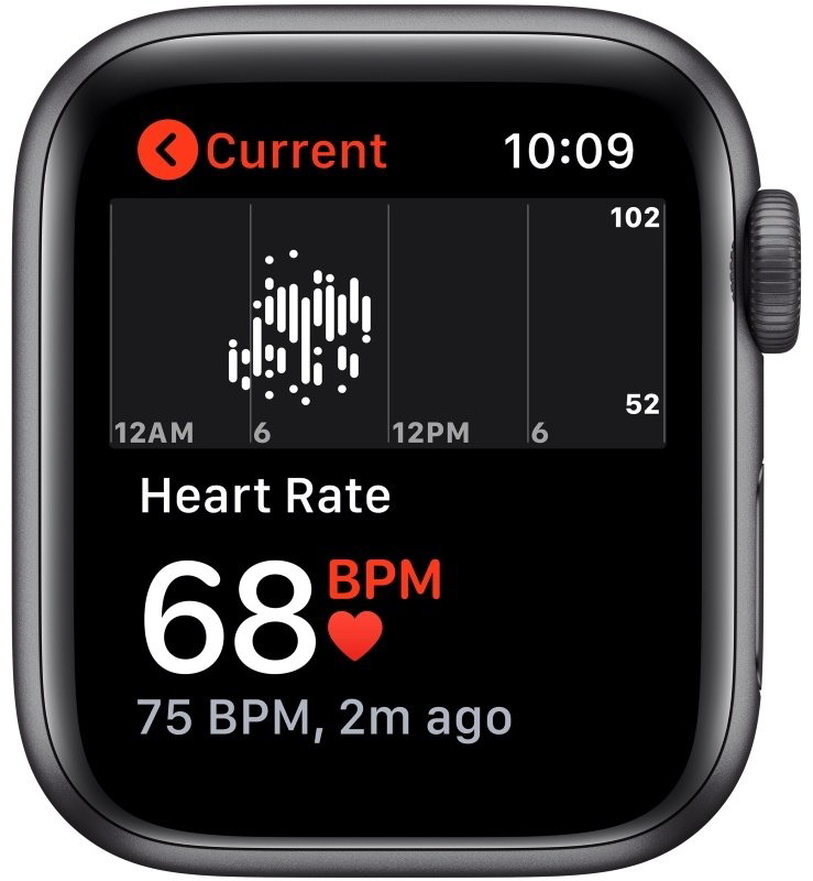 Смарт-часы Apple Watch SE 44 мм черный купить,222750
