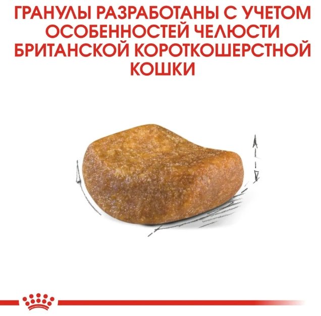 Корм Royal Canin British Shorthair Британская короткошерстная птица 10 кг купить,0