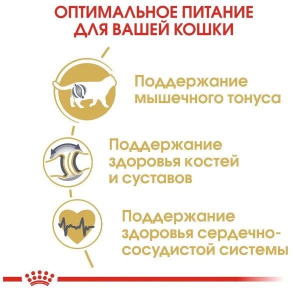 Корм Royal Canin British Shorthair Британская короткошерстная птица 10 кг купить,NaN
