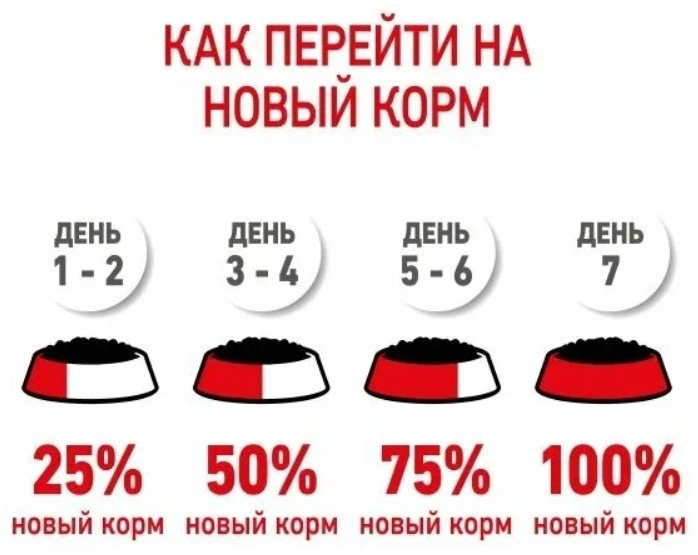 Корм Royal Canin British Shorthair Британская короткошерстная птица 10 кг купить,NaN
