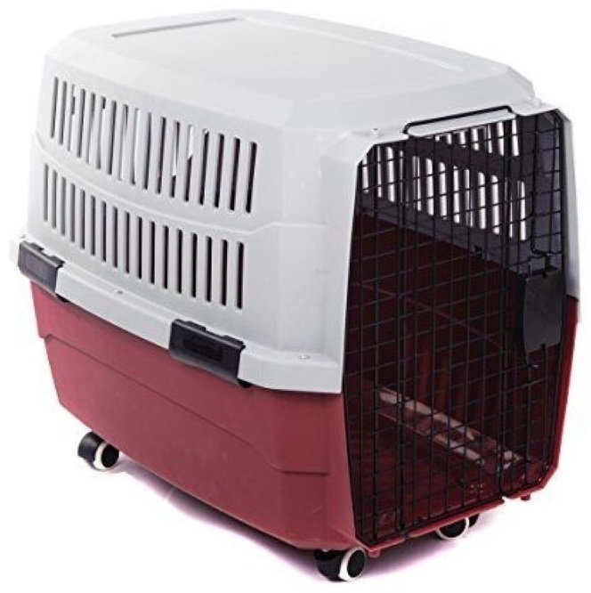 M-Pets 10436299 серый, бордовый