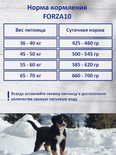 Корм Forza10 Best Breeders Adult Maxi 28/18 Рыба для взрослых крупных пород 20 кг купить,NaN
