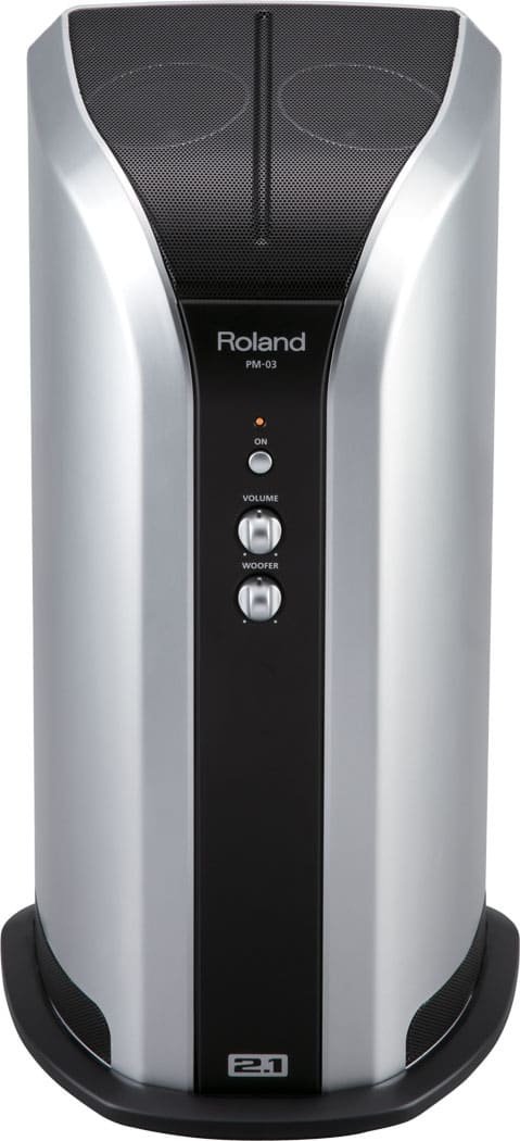 Акустическая система Roland PM-03 купить,0