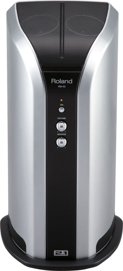 Акустическая система Roland PM-03 купить,NaN