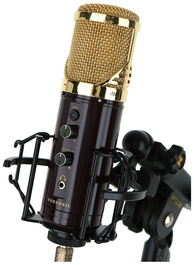 Kurzweil KM-2UG черный, золотистый купить,NaN