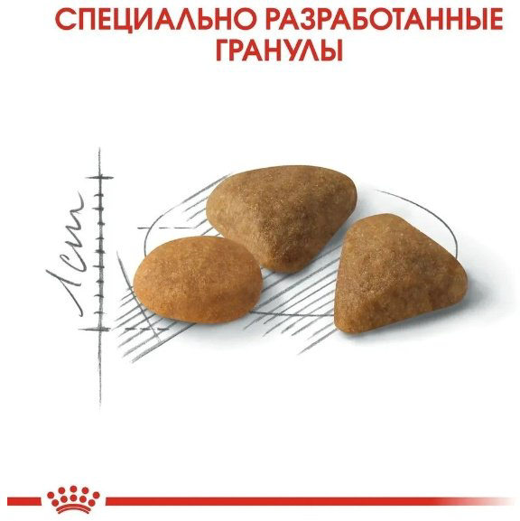 Корм Royal Canin Savour Exigent для привередливых птица 10 кг купить,NaN