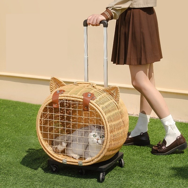 PLAID PLAID yp773 коричневый купить,0