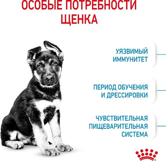 Корм Royal Canin Maxi Puppy для щенков крупных пород 15 кг купить,NaN