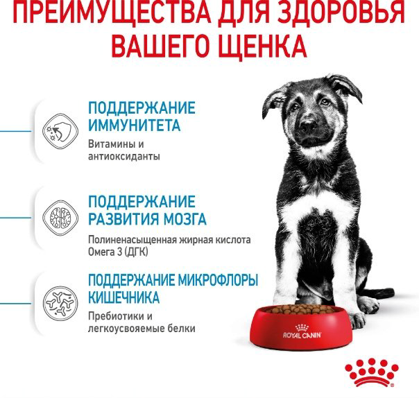 Корм Royal Canin Maxi Puppy для щенков крупных пород 15 кг купить,NaN
