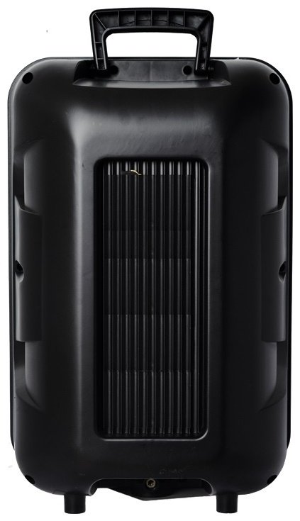 Loudspeaker LT-5315BT черный купить,0