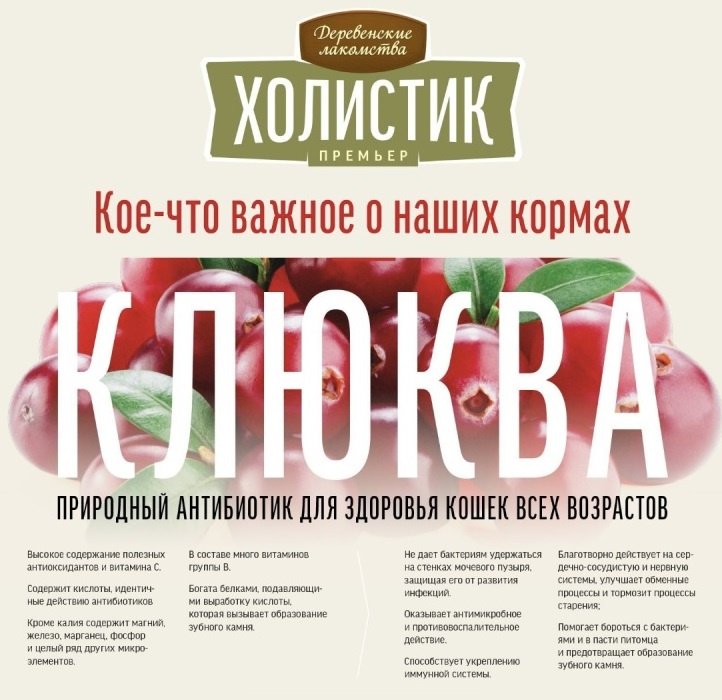 Корм Деревенские лакомства Холистик Премьер для котят курица 10 кг купить,0