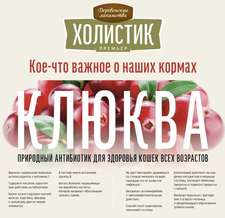 Корм Деревенские лакомства Холистик Премьер для котят курица 10 кг купить,NaN