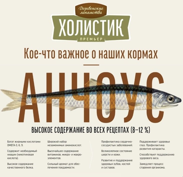 Корм Деревенские лакомства Холистик Премьер для котят курица 10 кг купить,0