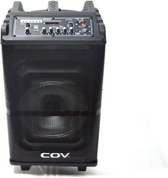 Портативная колонка COV SA-515SS черный